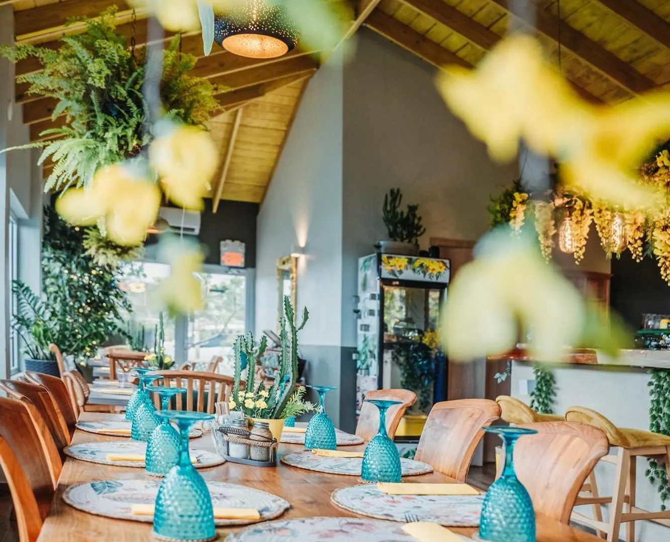 ****  Hotel Rh Boutique Aruba Oranjestad Aruba